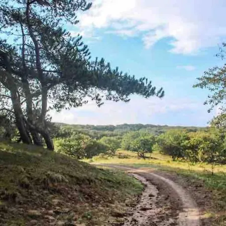 Slaperij 't Woud - Near The Dunes And The Sea!