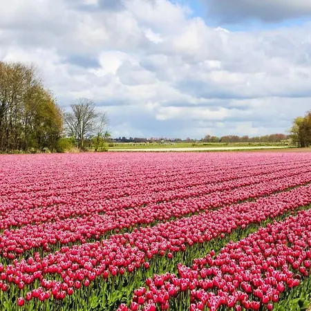 Apartmán Slaperij 't Woud - Near The Dunes And The Sea!