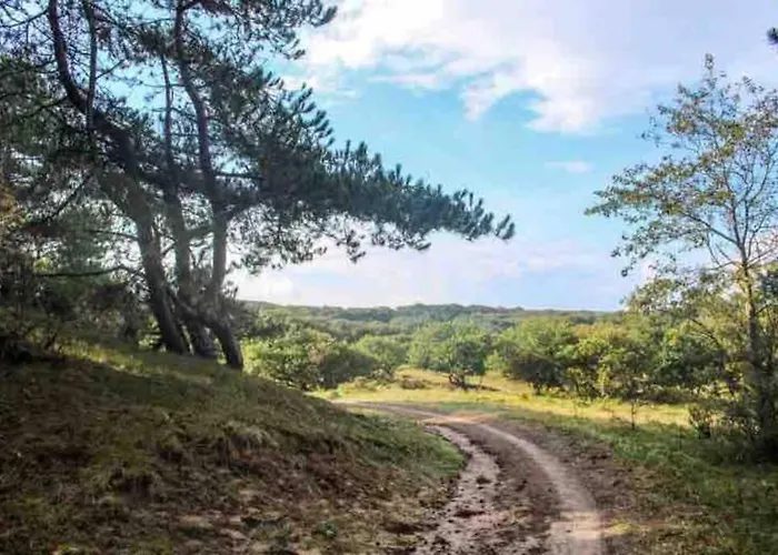 Slaperij 't Woud - Near The Dunes And The Sea!