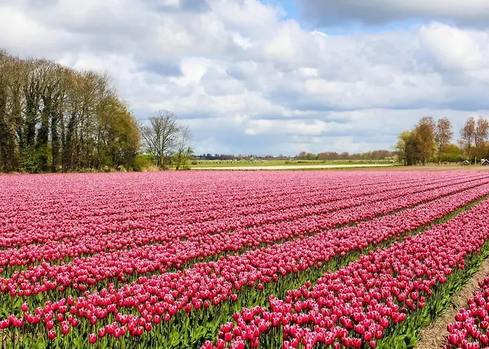 Apartment Slaperij 't Woud - Near The Dunes And The Sea!